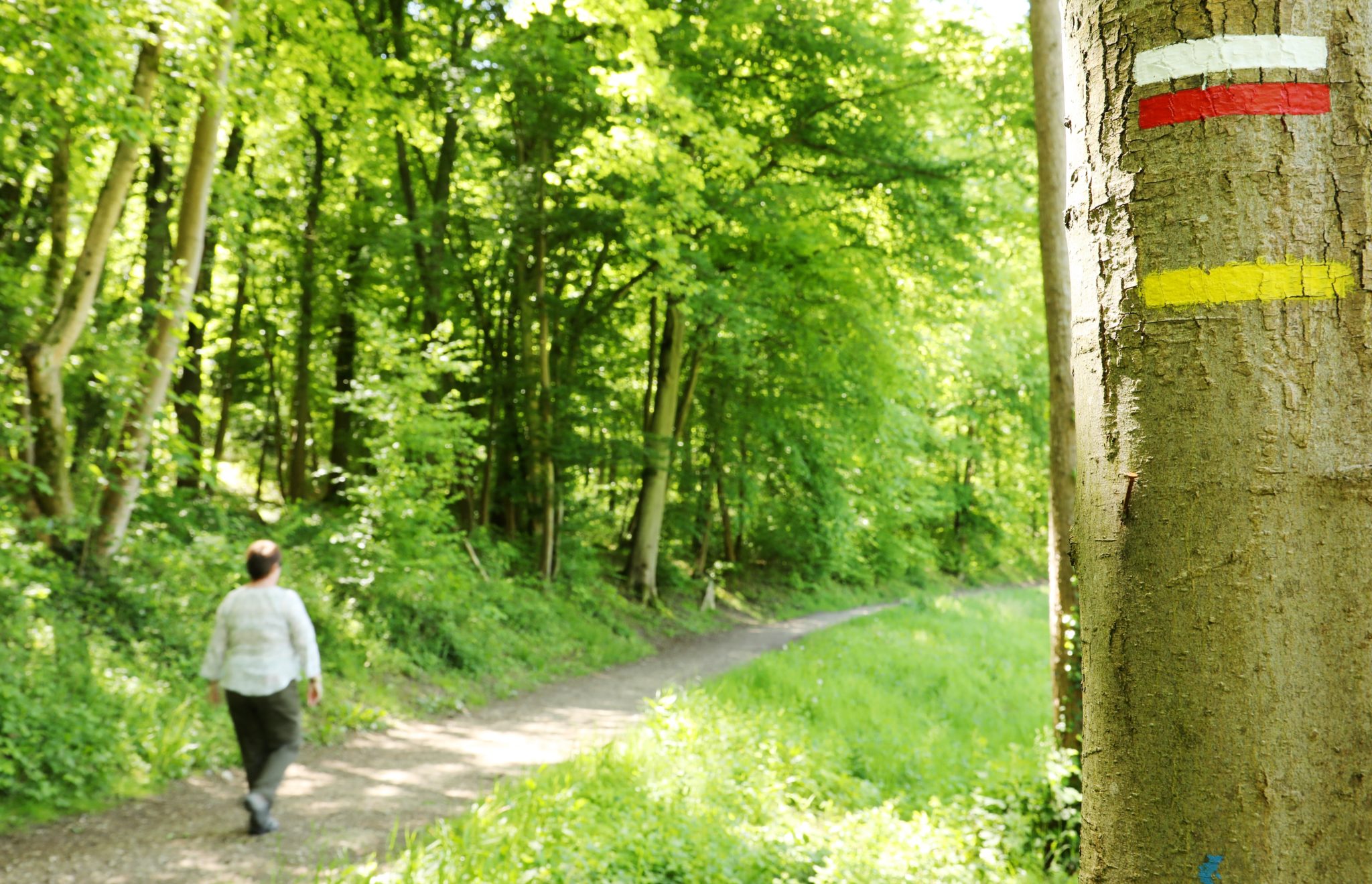 Grand Roissy, Land der Spaziergänge