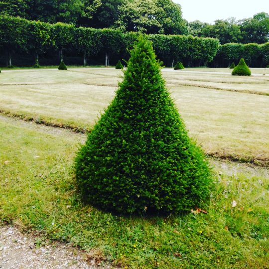 buisson parc Ecouen