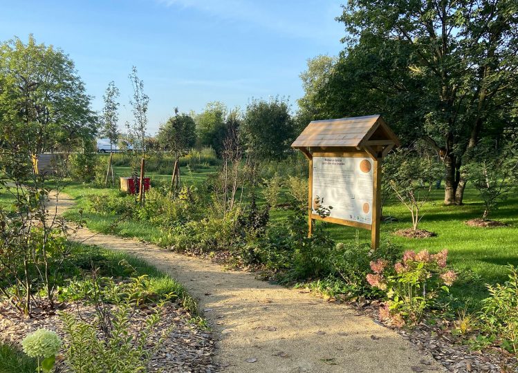 Chemin Espace Tabuteau - Grand Roissy