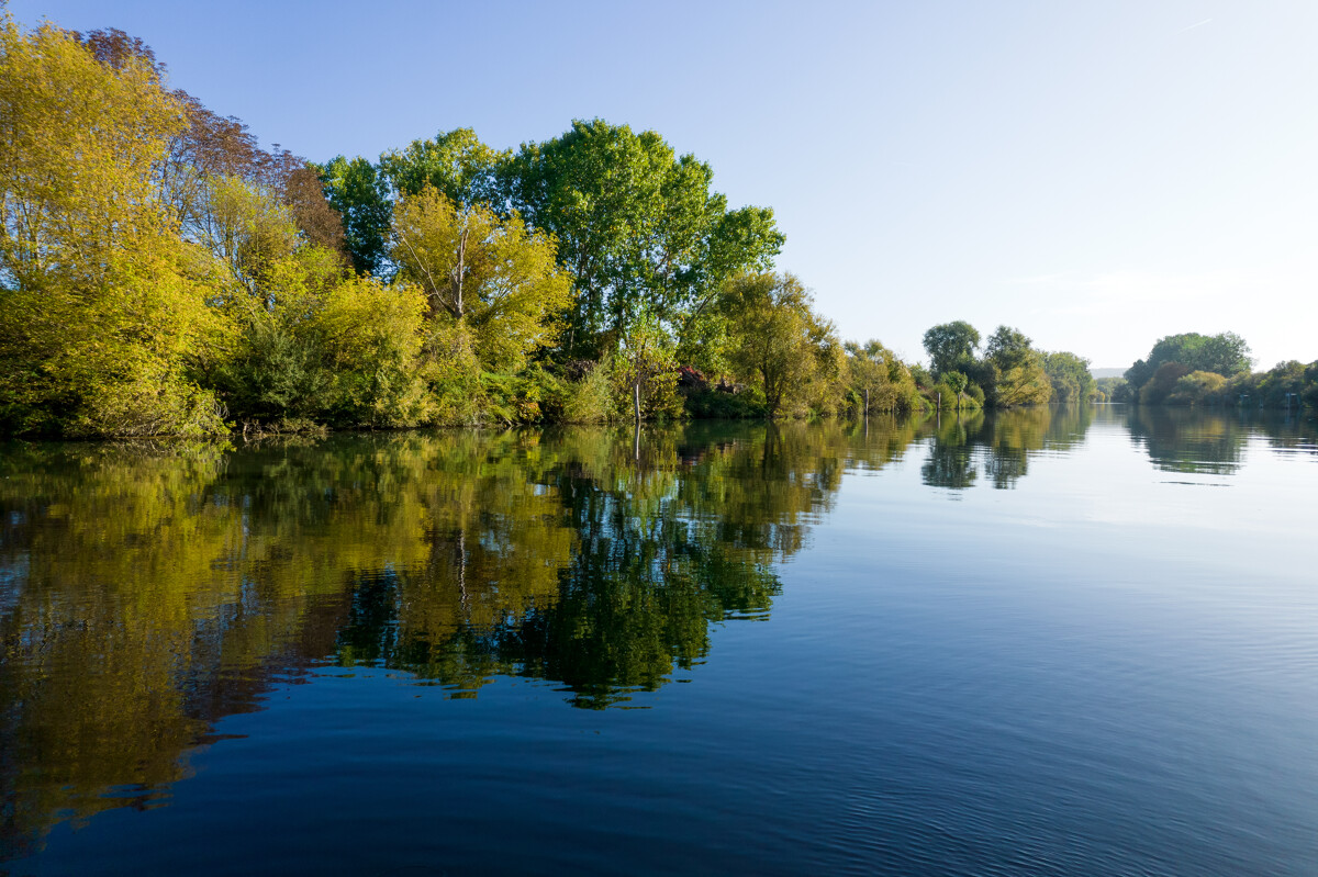 The Island of Herblay converted into a biodiversity sanctuary