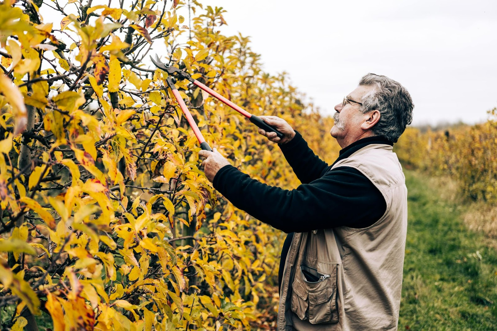 Prueba: ¿Qué productor local de Grand Roissy te encantará?