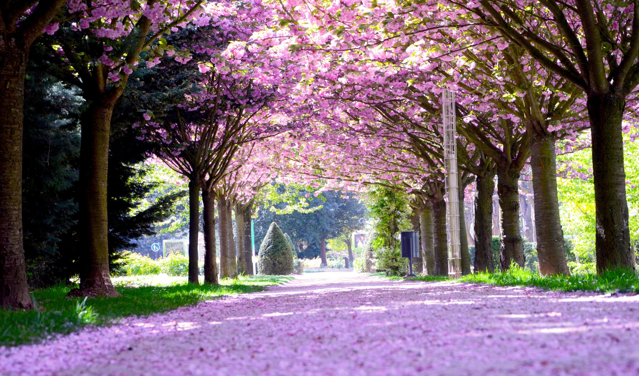 Aktivitäten im Frühling in Grand Roissy