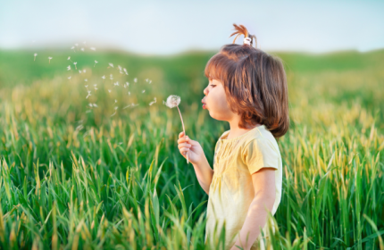 Fête de la Nature 2025 au Mesnil-Amelot
