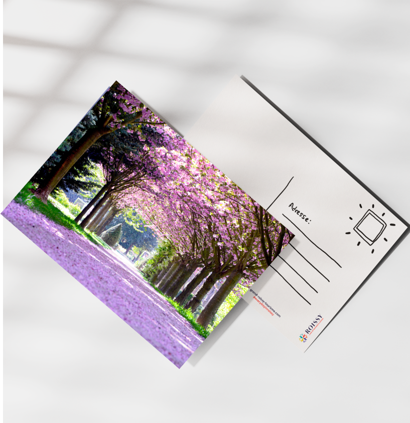 Cartes postales