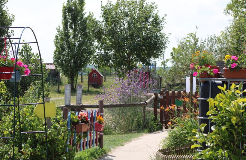 La Ferme pédagogique de La Prée : une parenthèse nature à Claye-Souilly !