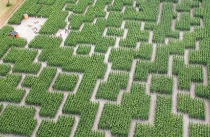Un Labyrinthe grandeur nature près de Paris