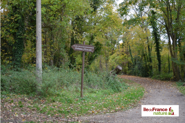 Sensory walk and wild tasting in Écouen – November 15, 2025