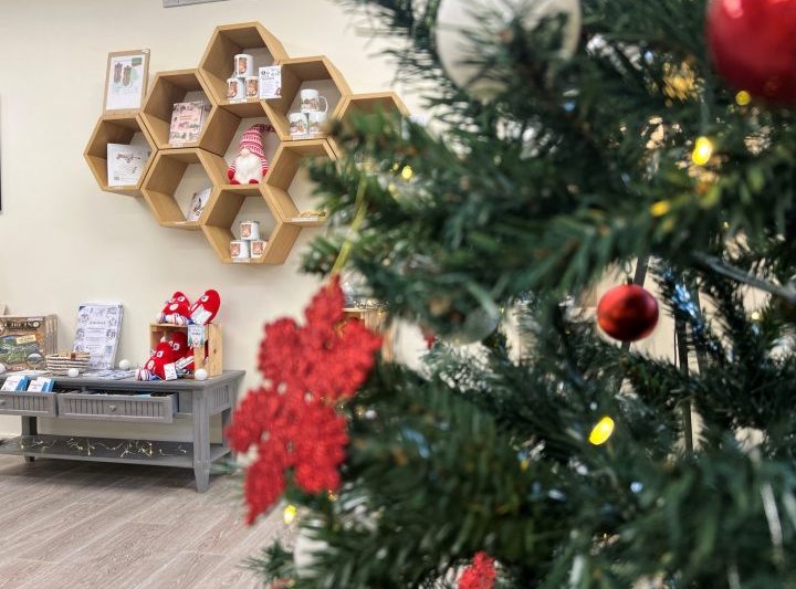 Idées cadeaux de Noël