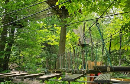 Sherwood Parc : team building immersif et responsable, 100% sur-mesure