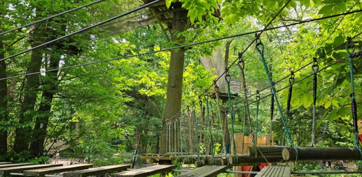 Sherwood Parc : team building immersif et responsable, 100% sur-mesure