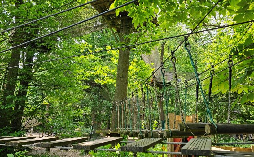 Sherwood Parc : team building immersif et responsable, 100% sur-mesure