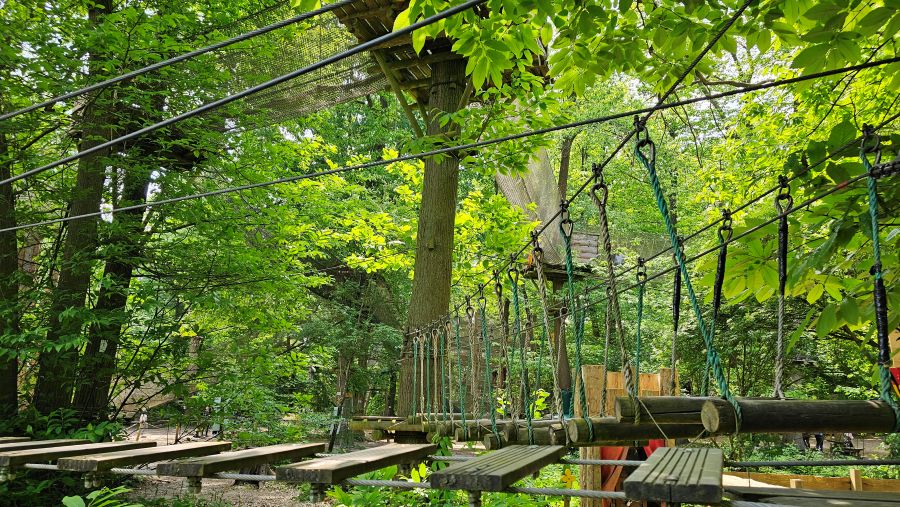 Sherwood Parc : team building immersif et responsable, 100% sur-mesure