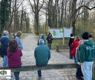 Journée des forêts à Écouen : nature et découvertes