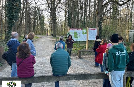 Journée des forêts à Écouen : nature et découvertes
