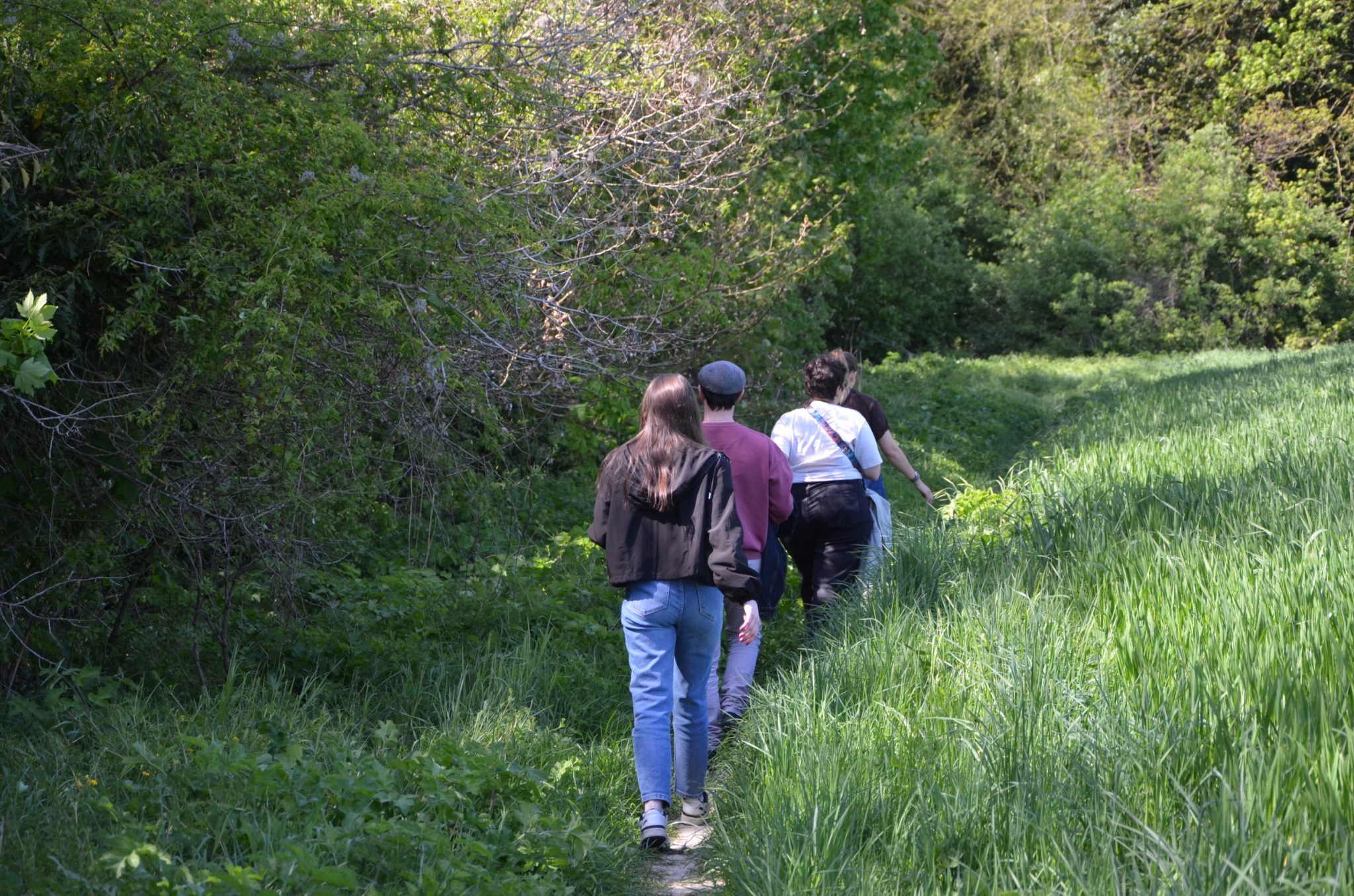 28 juin 2026 – Rando des Terroirs en Grand Roissy !