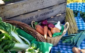 Légumes Verger Pomamour