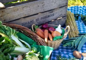 Légumes Verger Pomamour