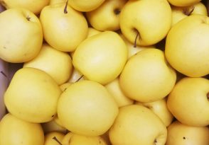 Pommes Verger Pomamour