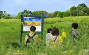 Parcours des peintres – Auvers sur Oise