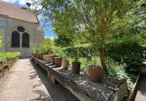 jardin 9 carrés Royaumont