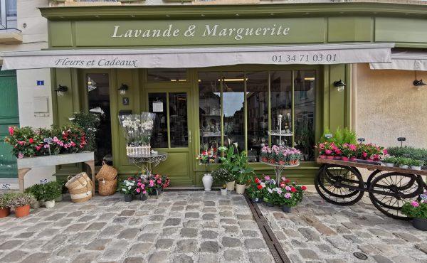 Lavande et Marguerite