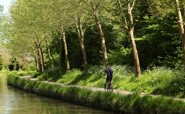Canal de l’Ourcq à Gressy