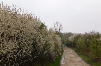 Circuit La Biche – Hérivaux – Thimécourt