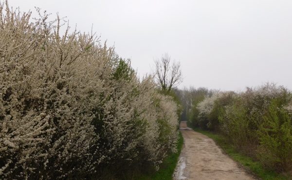 Circuit La Biche – Hérivaux – Thimécourt