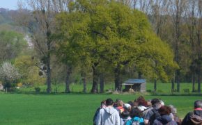 Circuit Forêt de Coye – Abbaye d&rsquo;Hérivaux