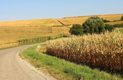 Circuit « Le Pays de France »