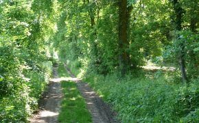 Circuit Luzarches-Fosses