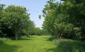 Plaine Oxygène (extérieur)