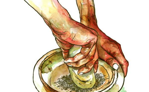 Visite familiale : Alimentation au musée