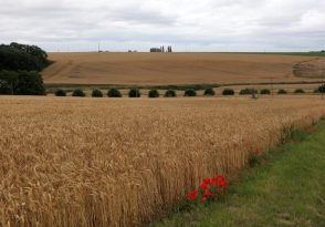 Visite familiale : le Pays de France au naturel