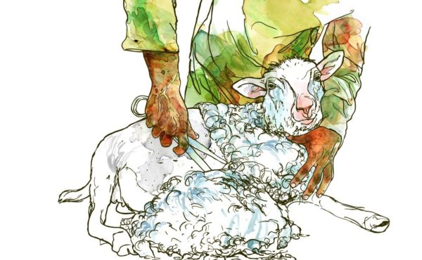 Visite familiale : les animaux au musée