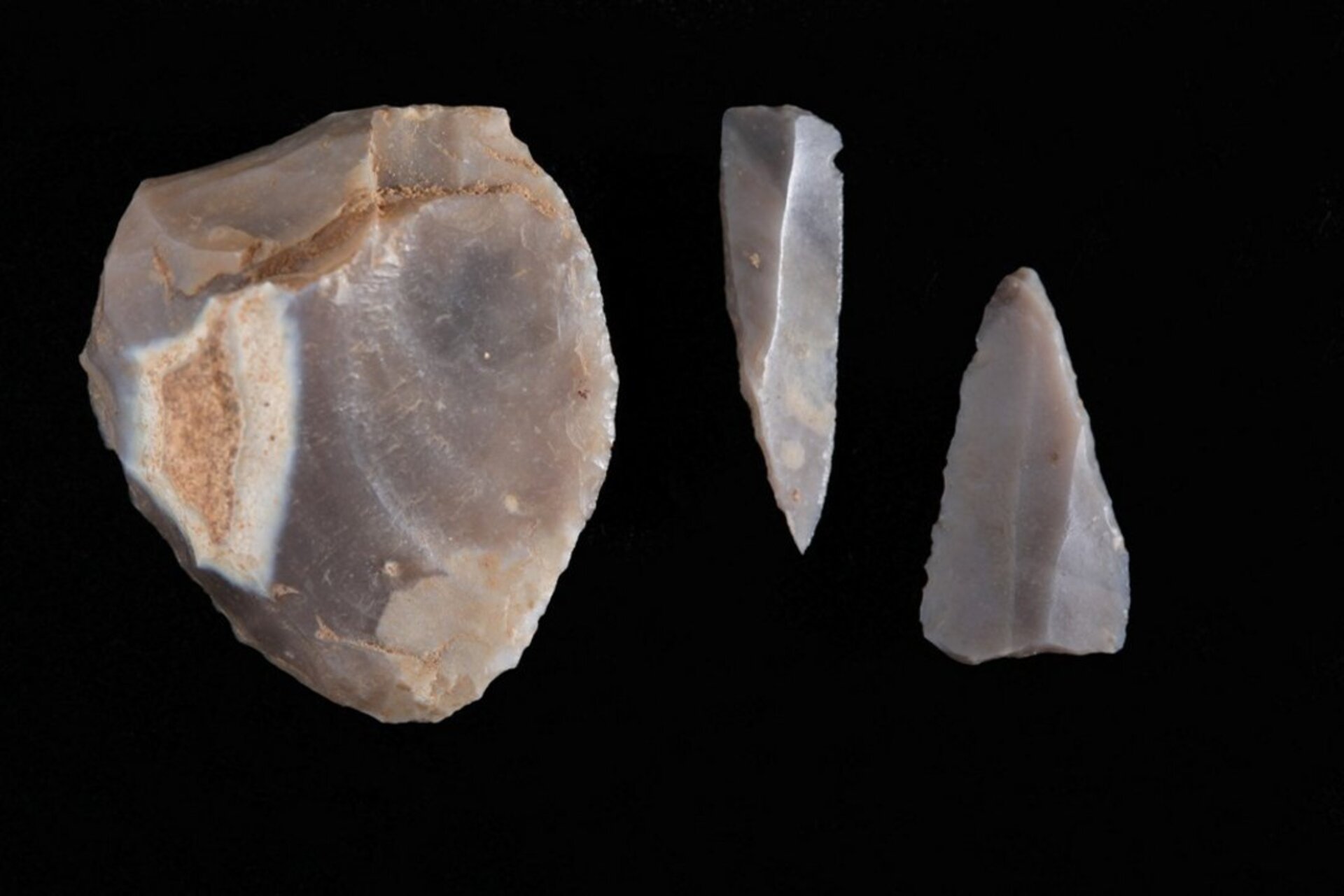 Visite familiale : avant l’écriture, les collections du musée de la Préhistoire aux Gaulois