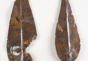 Visite familiale : la guerre au musée