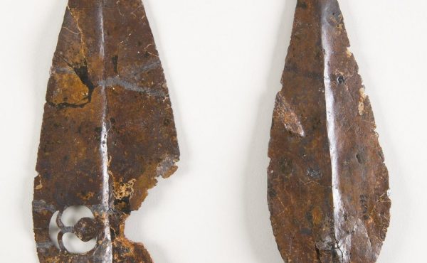 Visite familiale : la guerre au musée