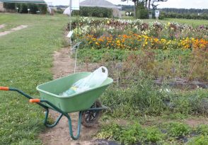 Cueillette de Compans