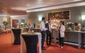 Hôtel Mercure Paris CDG Airport & Convention_Roissy-en-France