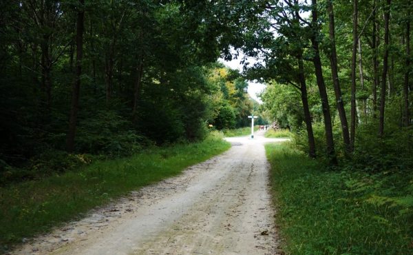 Circuit Luzarches – Abbaye de Royaumont