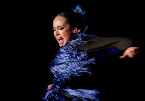 Danse flamenco