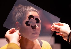 FAUXFAIRE FAUXVOIR, Thierry Collet – Cie Le Phalene