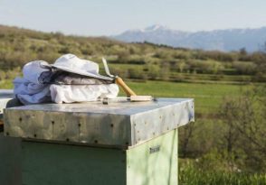 Atelier découverte de l&rsquo;apiculture