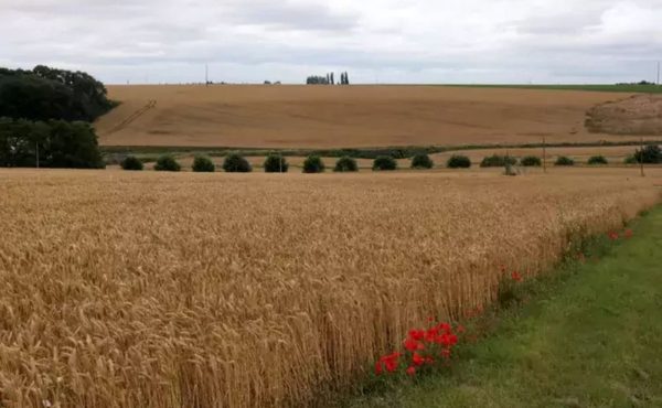 Atelier jeunes archéos : voyage en Pays de France