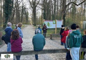 Journée internationale des forêts