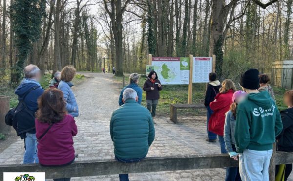 Journée internationale des forêts