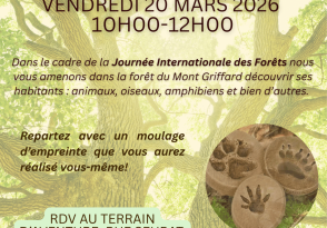 Affiche RDV NAT 20 mars 2026.png