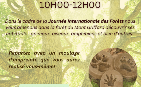 Affiche RDV NAT 20 mars 2026.png