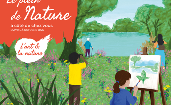 Observation des étoiles